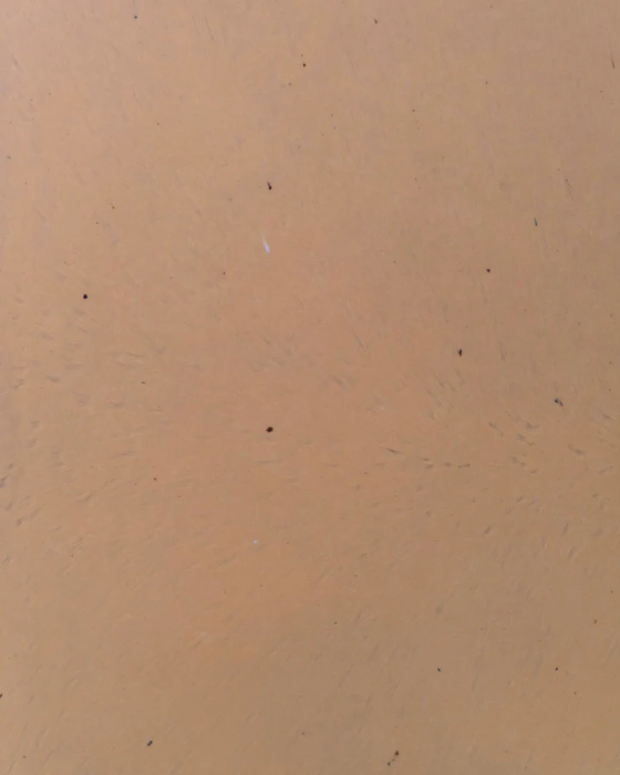 Wheat Brown Cleanstone