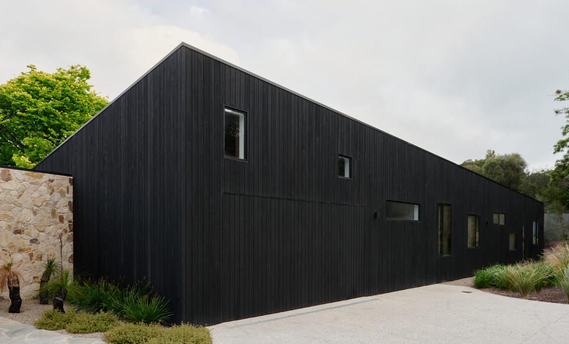 Charred Timber Collection