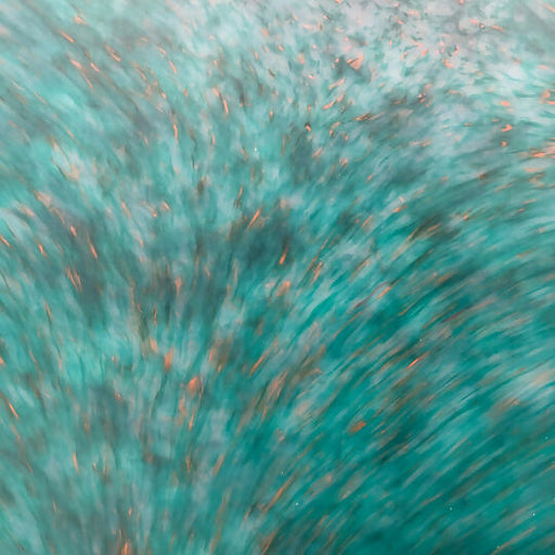 forest_cleanstone_1