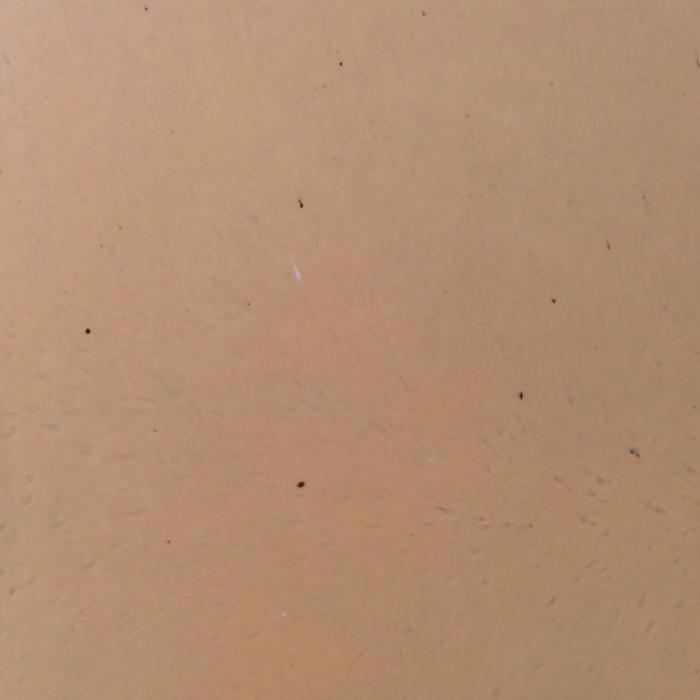 Wheat Brown Cleanstone