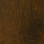 Deep Ancient Oak