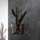 Sicilia (Dumawall+, Designer Series Colours)