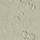 Microne Olive