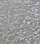 Clear Cleanstone