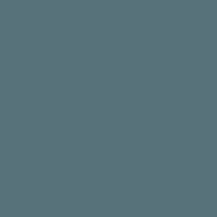 Little Blue Penguin