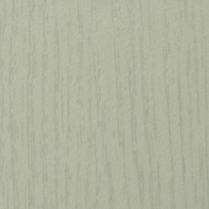 Grey Beech
