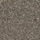 gpnz81NMQF
