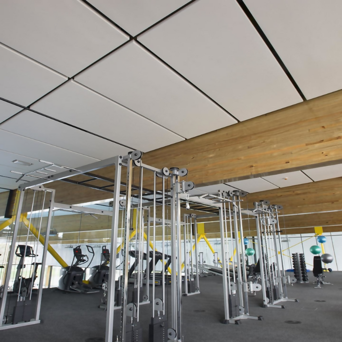 Asona Triton Pool Panel™