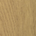 Pale Ancient Cedar