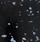 Screenshot 2025-04-09 125534