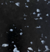 Screenshot 2025-04-09 125534