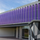 Danpalon Purple