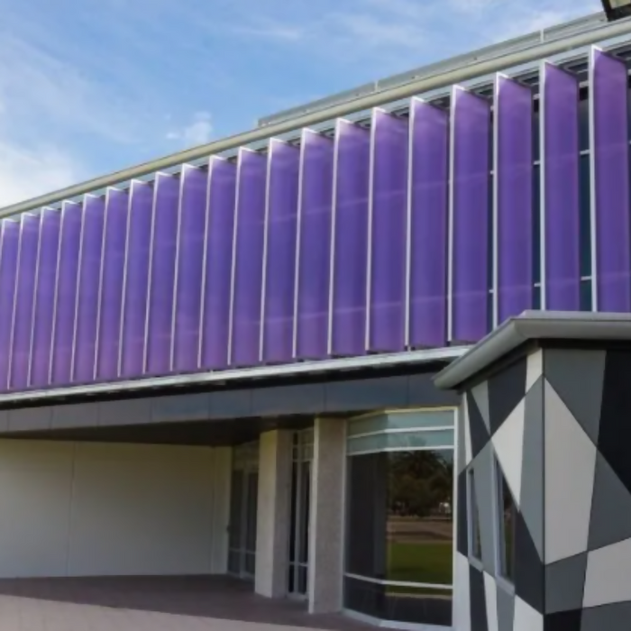 Danpalon Purple